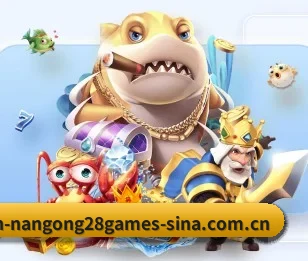 南宫28娱乐围绕看球场景设计的核心服务 - 多运动项目内容板块 - NG28